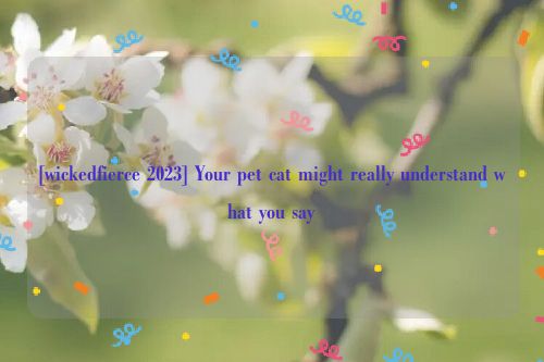 [wickedfierce 2023] Your pet cat might really understand what you say